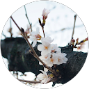 sn hn profile picture